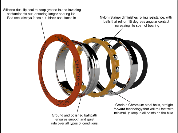 angular contact bearing anatomy